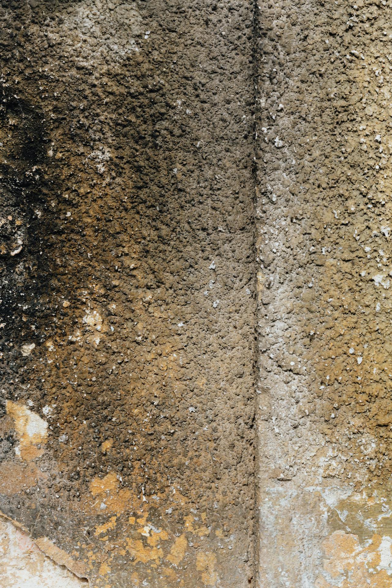 remove moisture from wall