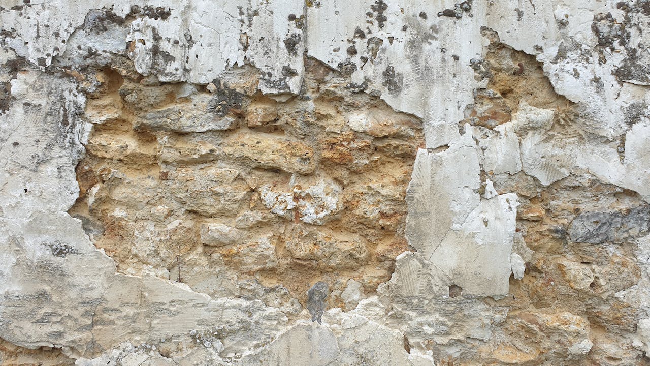 remove moisture from wall