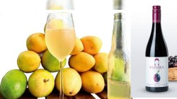 वाईनची कडू कहाणी : महाराष्ट्राच्या जांभुळ, हापूस वाईनची जगाला भुरळ, निर्यात वाढली; पण अनुदान  फक्त द्राक्ष वायनरीजना