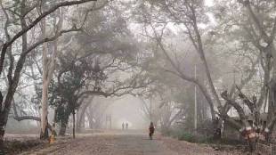 Cold wave grips the state again; minimum temperature in single digits
