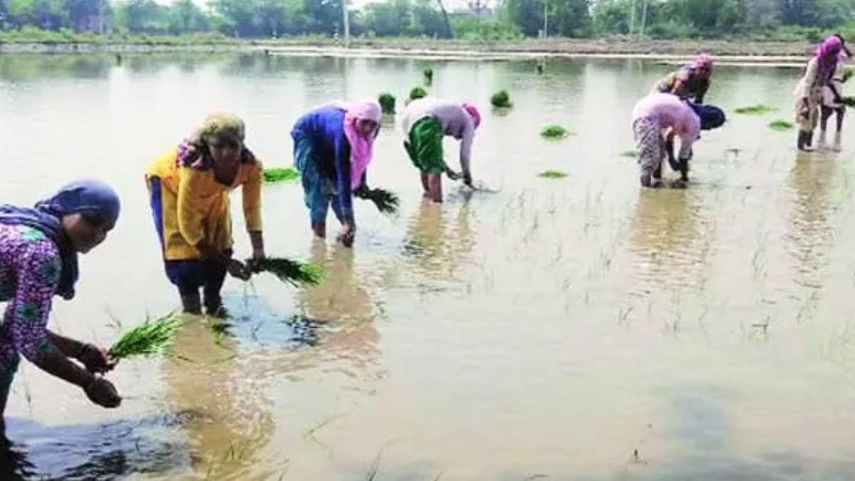 Women form the backbone of Indian agriculture but continue facing inequality in wages land rights.