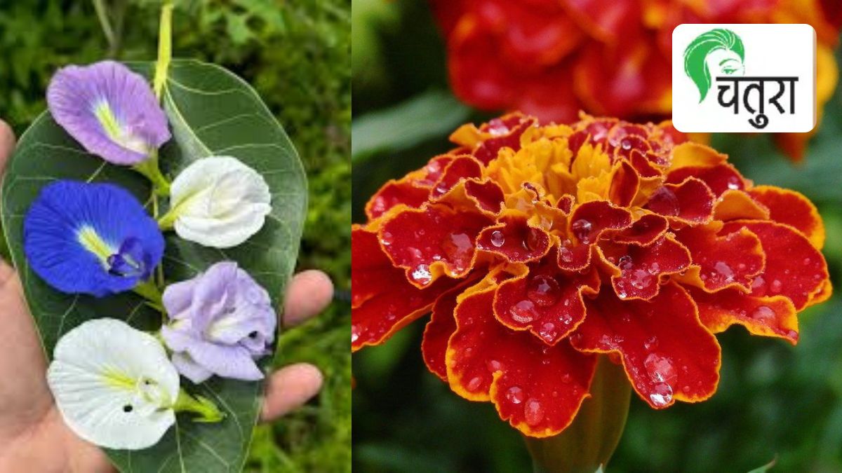 natural-dyes-eco-friendly-colour-art-process