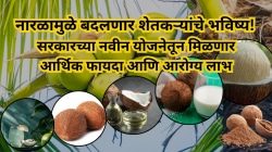 नारळामुळे शेतकऱ्यांचे आयुष्य बदलेल! केंद्रीय अर्थसंकल्पात नारळाला सुपरफूडचा दर्जा आणि मोठा प्रोत्साहन