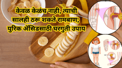 झटपट वाढतंय युरिक ॲसिड? वर्षभर मिळणाऱ्या या फळाच्या सालींची चहा प्यायल्याने सांधेदुखीच्या त्रासातून होईल सुटका