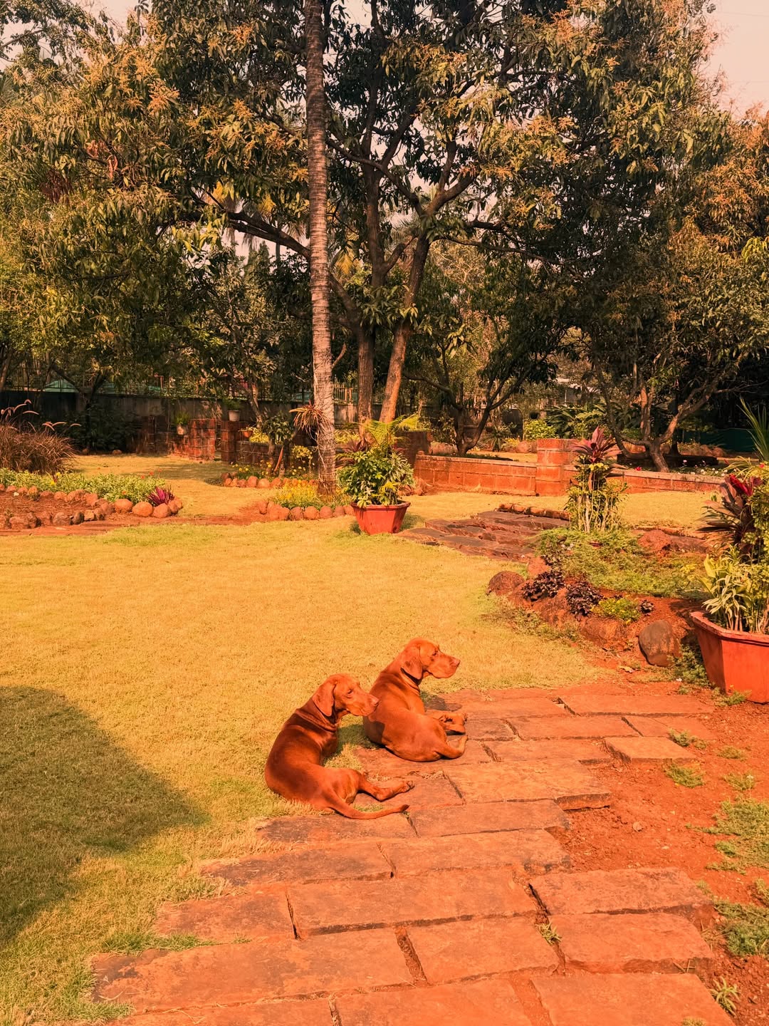 Sagarika Ghatge Kolhapur visit, Zaheer Khan family temple visit, Fatehsingh Khan with parents,