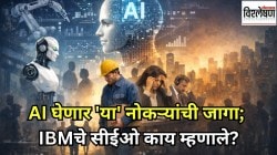 AI कुणाच्या नोकऱ्या खाणार? IBM च्या सीईओंनी दिला महत्त्वाचा कानमंत्र; ‘एआय’च्या वाढत्या प्रभावात टिकून राहण्यासाठी काय करावे?
