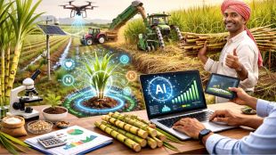 AI technology increases sugarcane yield by 30 percent and reduces water and fertilizer use in Maharashtra