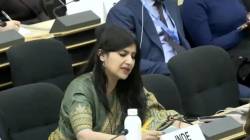 भारताच्या लेकीने पाकिस्तानला जगासमोर सुनावलं, “तुम्हाला मिळणाऱ्या भिकेपेक्षा काश्मीरचं बजेट…”