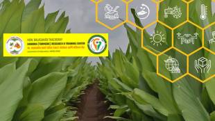 Balasaheb Thackeray Turmeric Research Center Hingoli | बाळासाहेब ठाकरे हळद संशोधन केंद्र हिंगोली निधी वाद