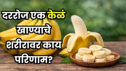 तुम्ही रोज एक केळं खाल्ल्याने तुमच्या शरीरावर काय परिणाम होईल? घ्या जाणून डॉक्टरांकडून…