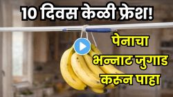 बाजारातून केळी आणली? ‘या’ पद्धतीने पेन अडकवा; १० दिवस राहतील फ्रेश, काळी पडणार नाहीत! पाहा Video