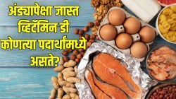 ‘या’ ५ पदार्थांमध्ये असतं अंड्यापेक्षाही जास्त व्हिटॅमिन डी; आहारात करा समावेश; कोणते पदार्थ आहेत जाणून घ्या