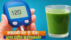डायबिटीजचा धोका होईल कमी; फक्त सकाळी रिकाम्या पोटी ‘हे’ एक पेय आठवणीने प्या; स्वामी रामदेव सांगतात वाढलेली शुगरही होईल नॉर्मल!