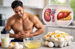 ‘एग व्हाईट’ खाण्याच्या फॅडमुळे शरीराचं होतंय नुकसान; तज्ज्ञांनी दिला मोलाचा सल्ला