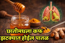 छातीतला घट्ट कफ लगेचच होईल पातळ, मधात फक्त ‘हे’ दोन पदार्थ मिसळा… रोगप्रतिकारक शक्तीदेखील वाढेल