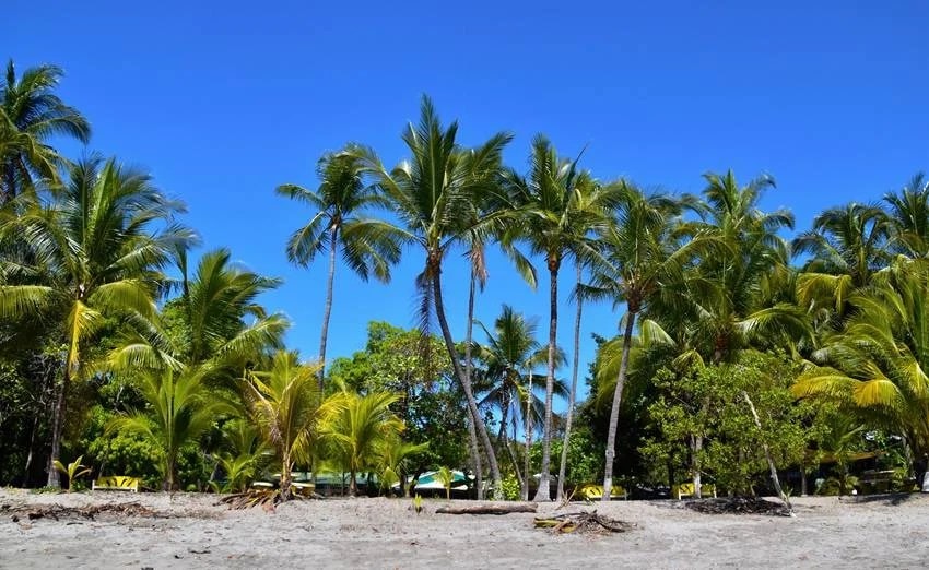 Lakshadweep known as Coconut Island