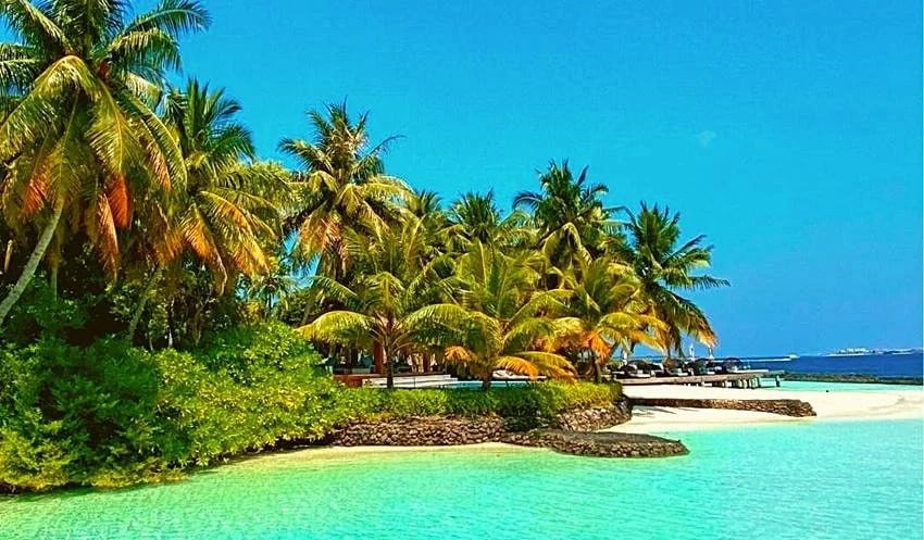 Lakshadweep known as Coconut Island