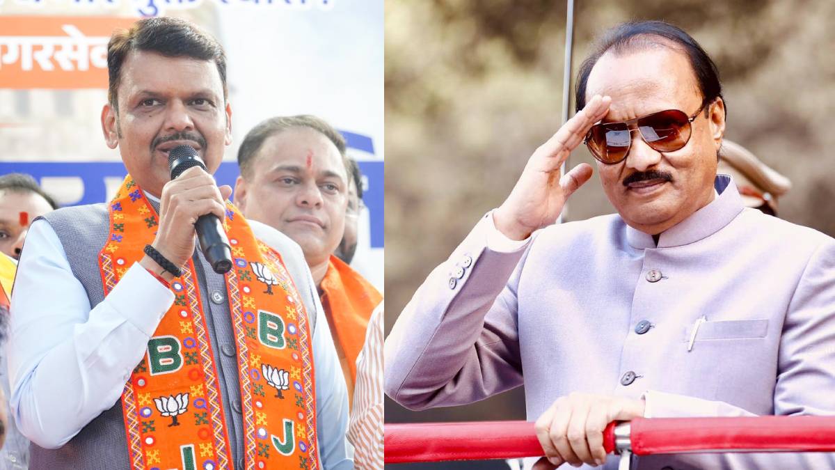 What Devendra Fadnavis Said?