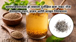 चवीपुरते मर्यादित नाही जीरे, आरोग्याचा खजिनाच; रोजच्या सेवनाने पचन सुधारते, सूज व साखर नियंत्रणात राहते
