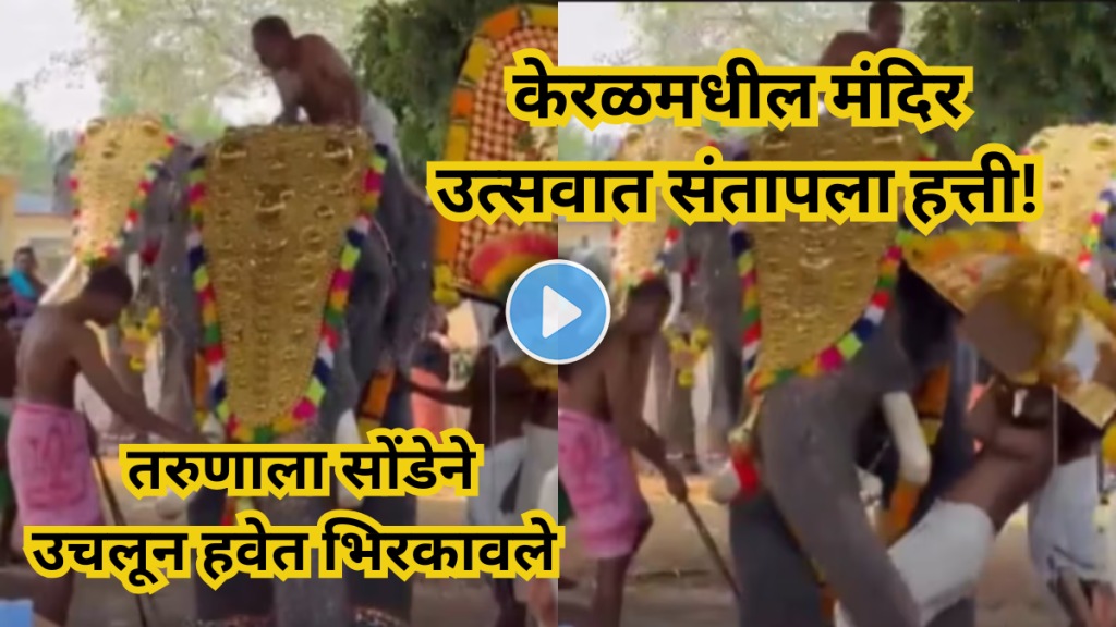 Elephant Attack During Valiyavilakku Festival Elephant Attack During Valiyavilakku Festival