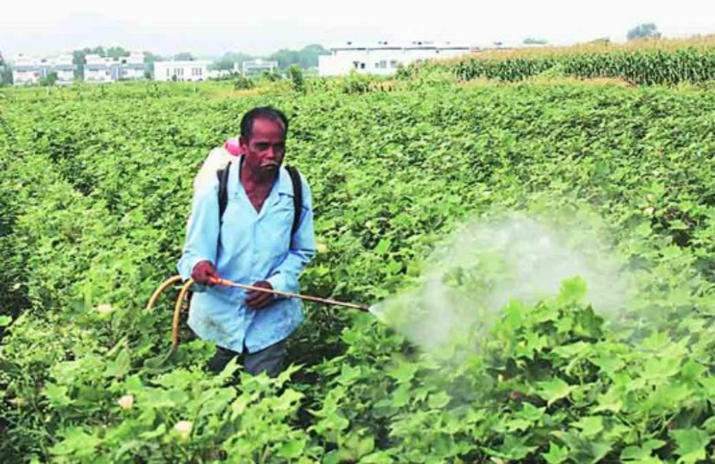 Farmers using pesticides facing health issues