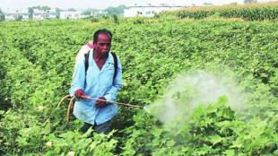 Farmers using pesticides facing health issues