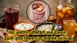 गॅस, ब्लोटिंग, अ‍ॅसिडिटी त्रास देतायत? इडली-डोसा विसरून या आंबलेले पदार्थ खा; पोट होईल हलकं, मूड राहील फ्रेश