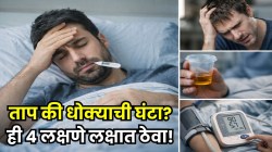दोन दिवस सौम्य ताप… तिसऱ्या दिवशी अवयव निकामी होऊ लागले; तापाबरोबर ‘ही’ ४ लक्षणे अजिबात दुर्लक्षित करू नका, डाॅक्टर म्हणाले, नाहीतर…