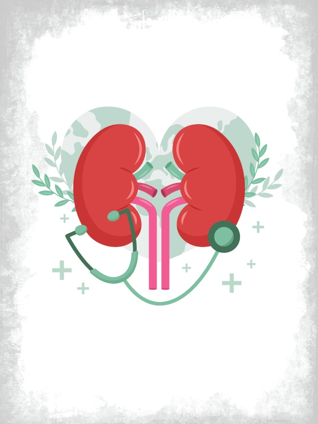 Foods For Kidney Health