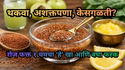 एका वाटी पालकापेक्षा या बियांमध्ये आहे जास्त लोह! हिमोग्लोबिन वाढेल अन् केसगळती थांबेल