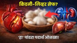 किडनी-लिव्हर खराब होण्याचा धोका होईल कमी! स्वयंपाकघरात असणारा ‘हा’ एक पांढरा पदार्थ खा, हार्ट ब्लॉकेजचाही धोका होणार नाही!