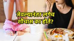 जेवल्यानंतर लगेच शौचास जावं लागतं? ‘हे’ कोणत्या आजाराचं लक्षण नाही ना? डॉक्टर काय सांगतात, वाचा
