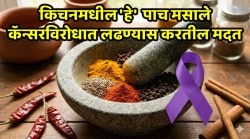 World Cancer Day: स्वयंपाकघरातच दडलंय आरोग्याचं गुपित! कॅन्सरचा धोका कमी करण्यासाठी ‘हे’ ५ भारतीय मसाले ठरतील रामबाण उपाय