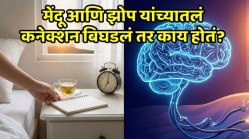 सावधान! अलार्म न लावताच जाग येतेय? रिल्सच्या व्यसनामुळे मेंदूला लागतंय ‘हे’ घातक वळण…