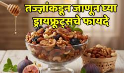 केवळ बदामच नाही, ‘हे’ ५ ड्रायफ्रूट्स आहेत आरोग्याचा खजिना; पण खाण्याची योग्य पद्धत तुम्हाला माहीत आहे का?