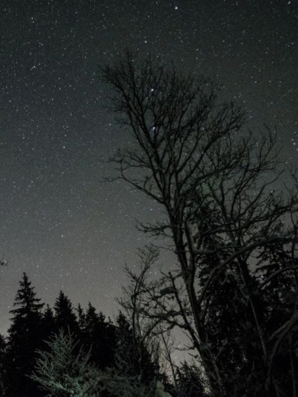 Horoscope Today Sunday 22 February 2026