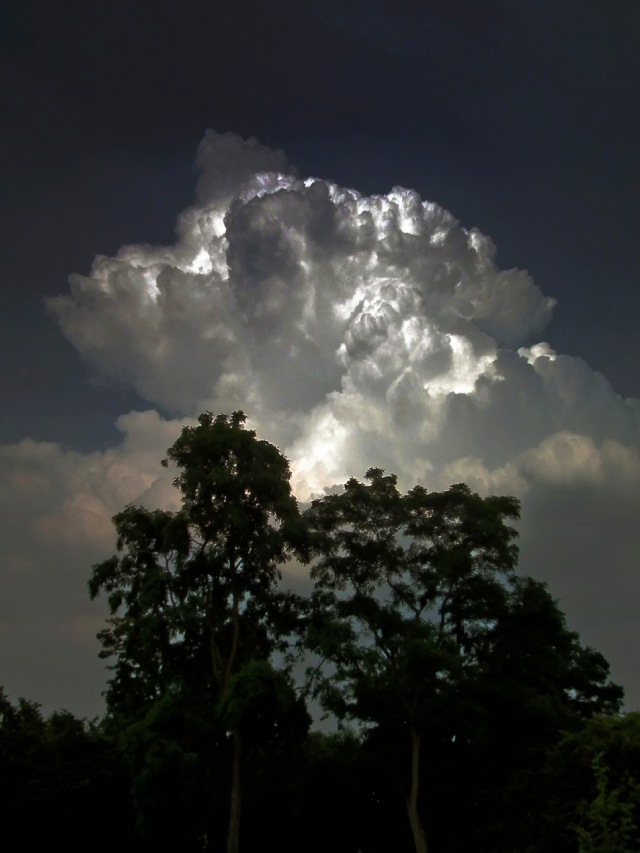 Horoscope Today Thursday 05 February 2026