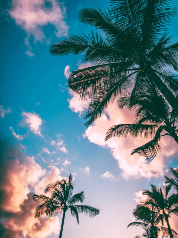 Horoscope Today Thursday 26 February 2026