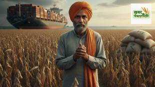 India USA Trade Deal, Soybean prices fall, Maize import impact, Piyush Goyal trade agreement,