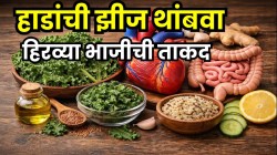 वय वाढले तरी होणार नाही हाडांची झीज! ‘ही’ एक हिरवी भाजी खा; हृदय, पचन सगळं राहील एकदम ठीक