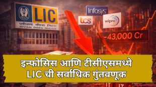 LIC and mutual fund combined investment loss February 2026 IT Sector decline