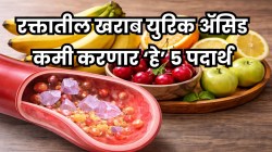 रक्तातील नसांमध्ये जमलेले खराब युरिक अ‍ॅसिड झटक्यात बाहेर काढतील ‘हे’ ५ पदार्थ; हाडे होतील मोकळी, दूर होईल संधिवात