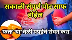 सकाळी संपूर्ण पोट साफ होईल; नसांमधलं घाणेरडं कोलेस्ट्रॉल बाहेर पडेल, फक्त ‘या’ वेळी पपईचं सेवन करा