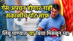 गॅस, अपचनाचा त्रास कायमचा जाईल; सकाळीच पोट साफ होईल, फक्त लिंबू पाण्यात ‘या’ बिया मिसळून प्या, परिणाम पाहून व्हाल थक्क