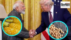 विश्लेषण : भारत – अमेरिका व्यापार करार शेतकरी हिताविरोधात? नेमके सत्य काय?