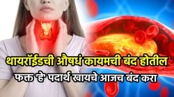 थायरॉईडची औषधं कायमची बंद होतील; फक्त ‘हे’ पदार्थ खायचे आजच बंद करा, थायरॉईडपासून कायमची मुक्ती मिळेल