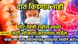 दात किडणार नाही, पोट नेहमी राहील स्वच्छ, सर्दी खोकला कायमचा जाईल; फक्त ‘या’ गरम मसाल्याच्या पावडरचा उपयोग करा