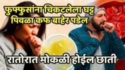 खोकल्यासोबत घट्ट पिवळा कफ फुफ्फुसांना चिकटून बसलाय? झोपताना ‘या’ वनस्पतीचा काढा प्या, रातोरात मोकळी होईल छाती व चोंदलेलं नाक