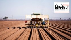 भारतीय बाजारपेठेत अमेरिकेची कृषी उत्पादने, व्यापार करार नसतानाही आवक कशी वाढली ?