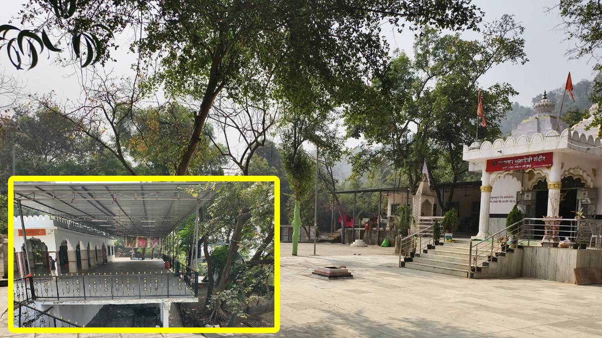 Belapur Hills encroachment, Navi Mumbai illegal construction, Save Belapur Hills movement, Navi Mumbai environmental protest, Belapur Hill tree cutting, Navi Mumbai land encroachment, State Human Rights Commission orders, Navi Mumbai tree protection, illegal building action Navi Mumbai,